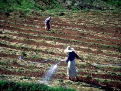 RIEGO (1)  CAMPESINOS